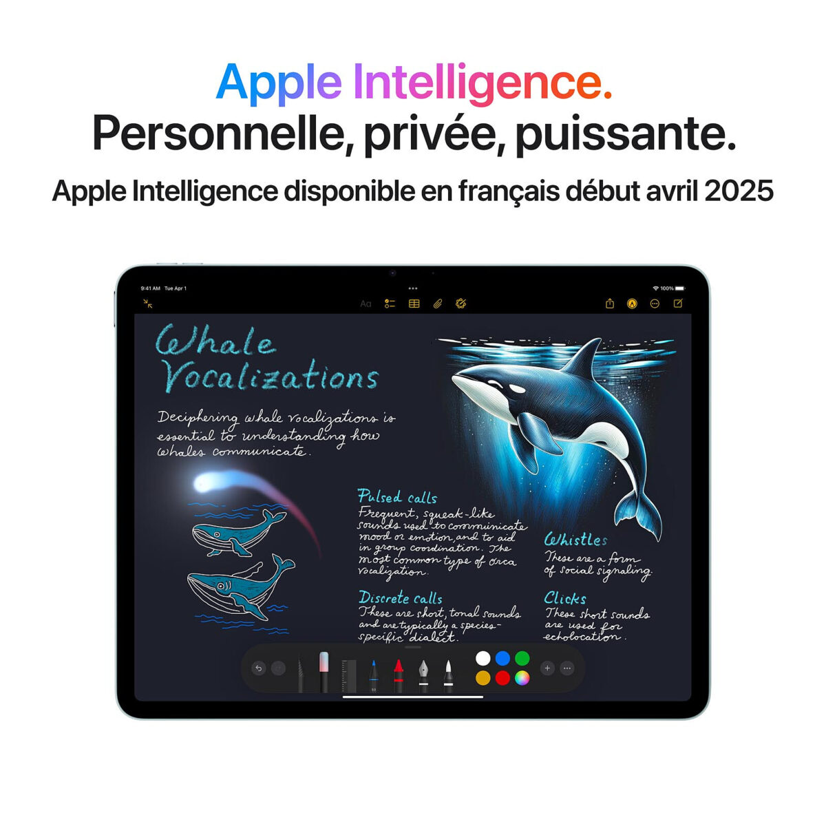 Apple iPad Air M3 11" (2025) Wi‑Fi 128 Go – Bleu – Image 5