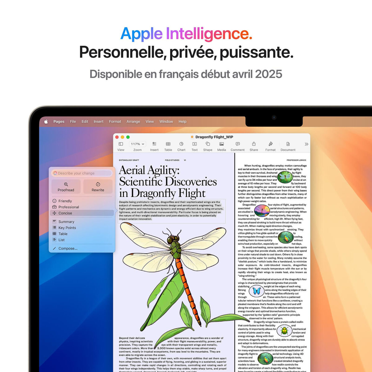 Apple MacBook Air M4 13" (2025) Lumière Stellaire – 32 Go RAM, 1 To SSD (MC6A4FN/A-32GB-1TB-35W) – Image 3