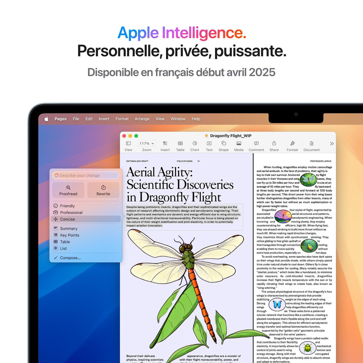 Apple MacBook Air M4 15" (2025) Bleu Ciel – 32 Go RAM, 1 To SSD (MC7A4FN/A) – Image 3
